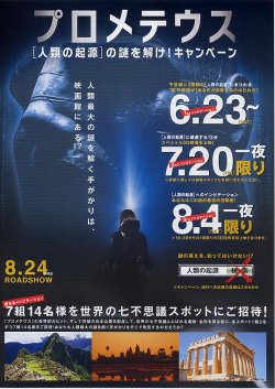 (7)タイプ4:キャンペーン版表面