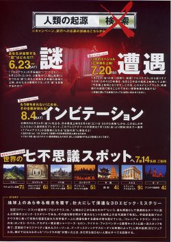 (8)タイプ4:キャンペーン版裏面