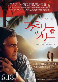 (3)タイプ2:A5判表面