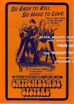 (4)タイプ2:表面色橙スウッチ面