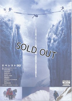 (4)タイプ2:二折り版裏面