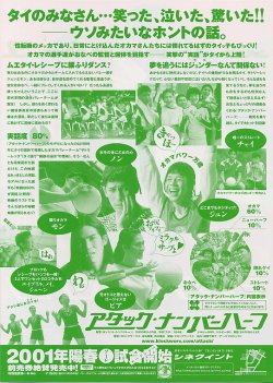 (2)B5判背景色桃柄裏面