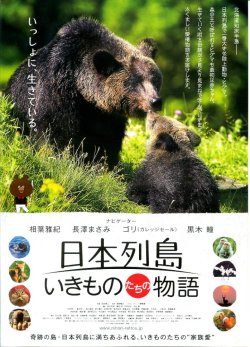 (3)タイプ2:熊柄表面