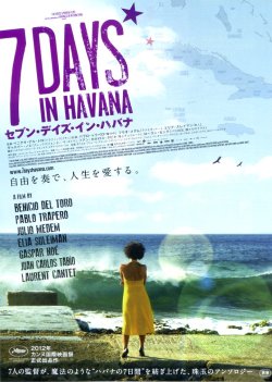 (5)タイプ3:タイトル色紫表面