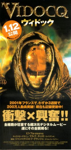 (5)タイプ3:リーフレット表面