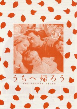 (5)タイプ3:単色橙表面