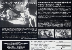 (8)タイプ4:B6判単色裏面