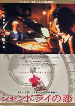 (3)タイプ2:B5判背景色金表面