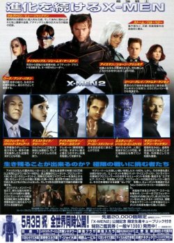 (4)タイプ2:全身柄裏面