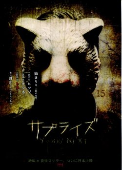 (5)タイプ3:虎柄表面