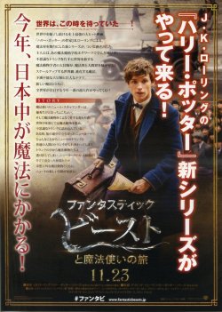 (4)タイプ2:速報版裏面