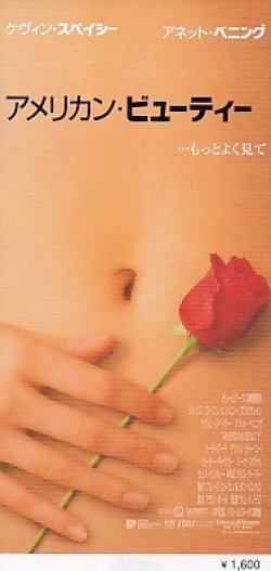 画像2: アメリカン・ビューティー(半券)