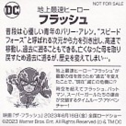 画像2: ザ・フラッシュ(特典)