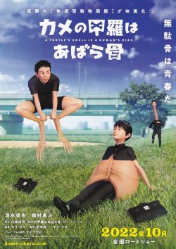 画像1: カメの甲羅はあばら骨