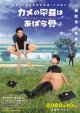 カメの甲羅はあばら骨