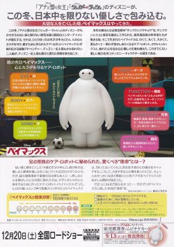 (4)タイプ2:正面向き柄裏面