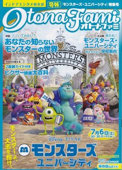 (3)タイプ2:冊子表面