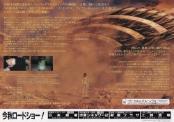 (4)タイプ2:顔柄裏面