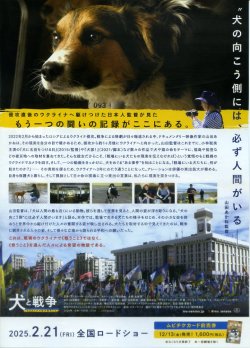 画像2: 犬と戦争　ウクライナで私が見たこと