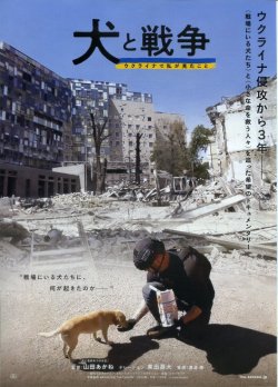 画像1: 犬と戦争　ウクライナで私が見たこと