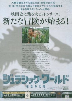 (2)タイプ1:通常版裏面