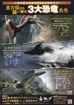 (4)タイプ2:二折り裏面