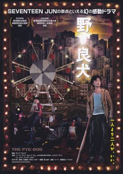 画像1: 野。良犬