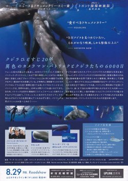 画像2: パトリックとクジラ6000日の絆