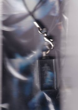 画像1: エイリアンＶＳプレデター(プレデターストラップ特典)