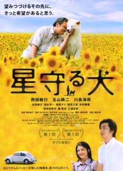 (1)タイプ1:タイトル色黒表面