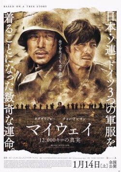 (3)タイプ2:二折り表面