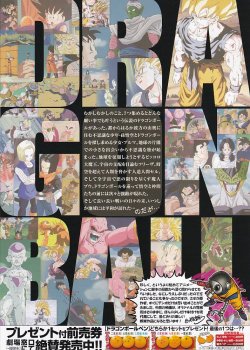 (4)タイプ2:二折り裏面