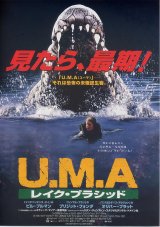 画像: Ｕ．Ｍ．Ａ レイク・プラシッド