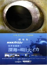 画像: ＮＨＫスペシャル世界初撮影！深海の超巨大イカ