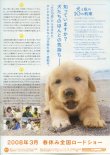 画像2: 犬と私の１０の約束