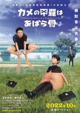 画像: カメの甲羅はあばら骨