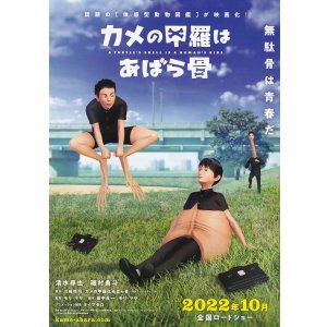 画像: カメの甲羅はあばら骨