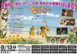 (4)タイプ2:昼柄裏面