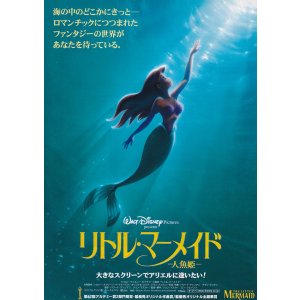 画像: リトル・マーメイド(タイプ別2種あり)