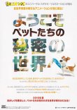 (2)タイプ1:1匹裏面