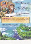(2)タイプ1:単色柄裏面