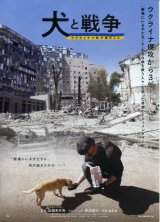 画像: 犬と戦争　ウクライナで私が見たこと