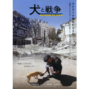 画像: 犬と戦争　ウクライナで私が見たこと