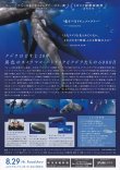 画像2: パトリックとクジラ6000日の絆