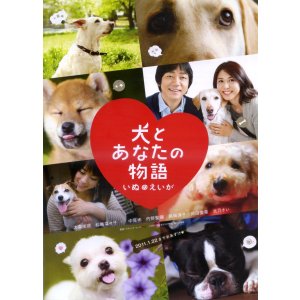画像: 犬とあなたの物語