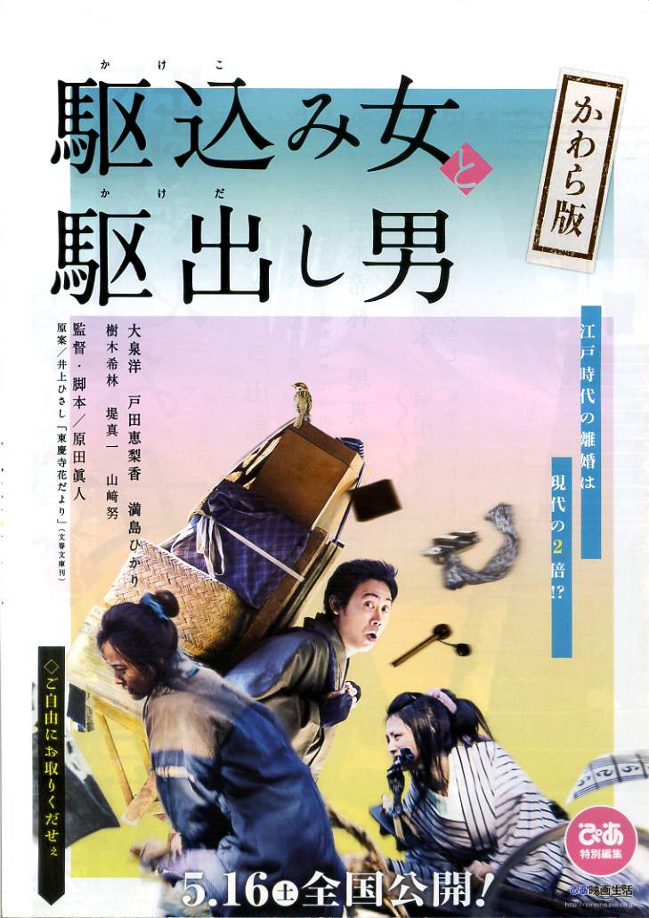 駆込み女と駆出し男 タイプ別3種あり 映画チラシのデビッドさん