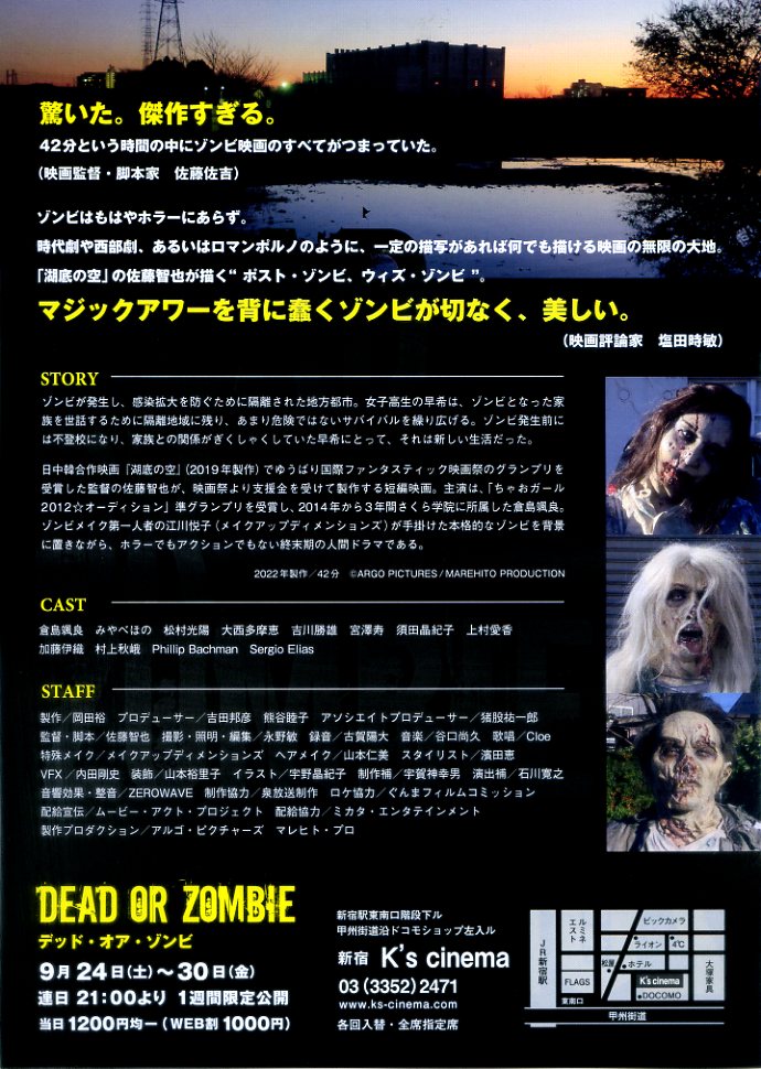 画像2: DEAD OR ZOMBIE