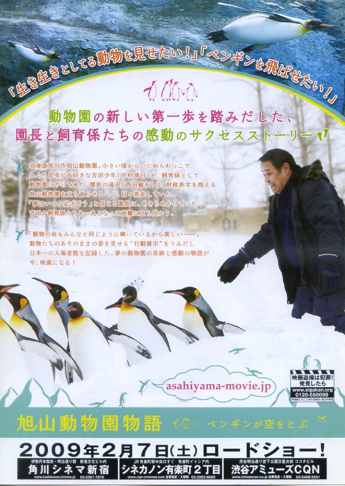 (4)タイプ2:ペンギン柄裏面