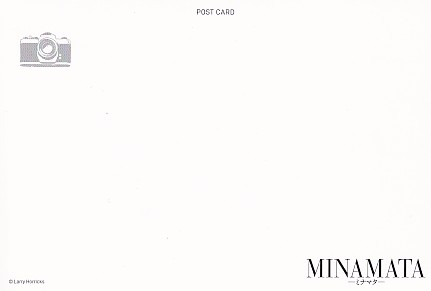 画像3: MINAMATAミナマタ(特典)