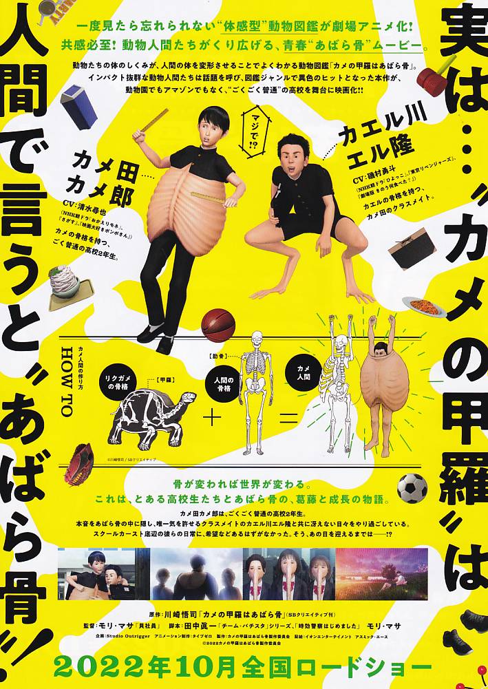 画像2: カメの甲羅はあばら骨